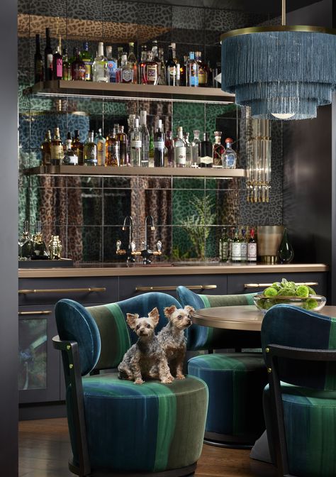 D'Amore Interiors transformed this underused study into a European-inspired speakeasy lounge. Cheers to blending the old with the new and winning our Recreation Spaces & Wine Rooms / Cellars category for the 2023 Designer of the Year Awards! Speakeasy Library, Home Cocktail Lounge, Speakeasy Doors, Speakeasy Lounge, 70’s House, Bar Library, Austin Interior Design, Wine Rooms, Speak Easy