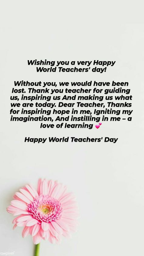 Quotation For Teachers Day, Message To Teacher From Student, Happy Teachers Day Letter, Teachers Day Message From Student, Thoughts For Teachers Day, Jay Drawing, Happy Teachers Day Message, Best Thank You Notes, Teachers Day Message