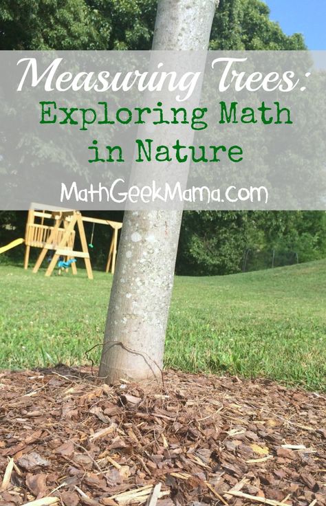 A great way to explore math and science topics with your kids is to get outside and explore nature. Read about ideas for measurement, geometry and more! Math In Nature, Maths In Nature, Nature Based Learning, Outdoor Learning Activities, Math And Science, Math Measurement, Nature School, Science Topics, Outdoor Education