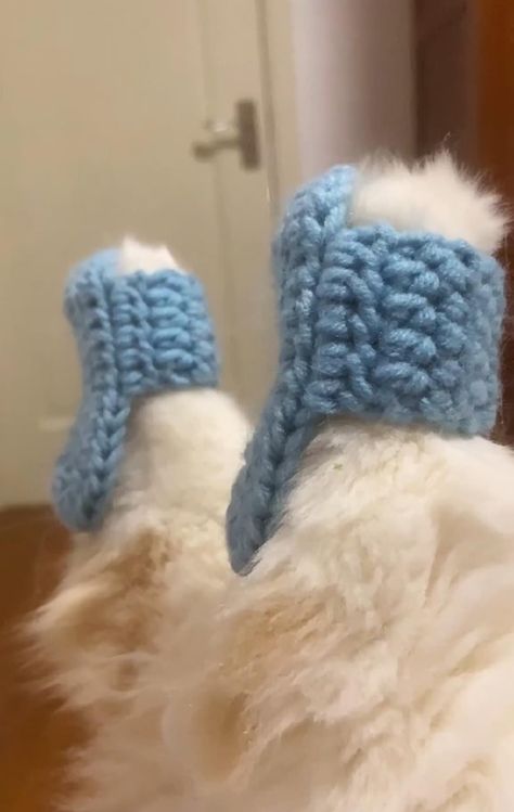 Crochet Clothes For Cats, Cat Crochet Clothes, Crochet Things For Cats, Cat Clothes Crochet, Crochet For Cats, Crochet Cat Clothes, Crochet Cat Hat, Cat Slippers, Crochet Decoration