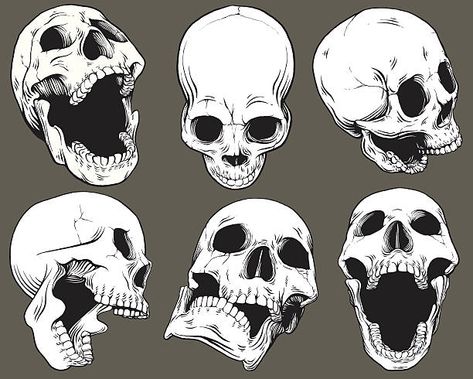 Creative Skull Drawing, Skull Anatomy, Skull Reference, Skull Sketch, Skull Art Drawing, Skulls Drawing, Skull Illustration, 캐릭터 드로잉, Skull Drawing