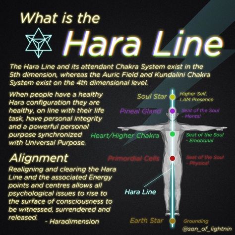 Hara Chakra, The Hara, Chakra Healing Meditation, Chakra Health, Parapsychology, Spiritual Psychology, Sacred Science, Chakra Affirmations, Reiki Symbols