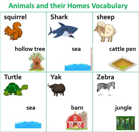 Wild Animals And Their Homes, Farm Animals And Their Homes, Animals And Their Homes Worksheets, Wild Animals List, Names Of Animals, Animals And Their Homes, Camels Desert, Pictures Animals, Guinea Pig Hutch