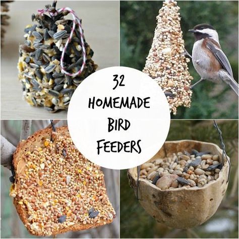 Wowza! Check out all these easy homemade bird feeders! Terffic for all ages! Great projects for the kids to help with at home, daycare or in the classroom! Bird Seed Balls How To Make, Bird Balls, Homemade Bird Feeder, Bird Feeders For Kids To Make, Wicca Holidays, Wildlife Week, Gardening Crafts, Suet Cakes, Bird Feeder Craft