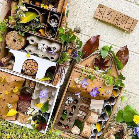 How incredible is this recycled Bug Hotel, creativity has definitely been unleashed here, we love it 🕷️🦋🐞🐛🐝🐜 Posted @withregram • @mason.jar.of.memories 🐛Spring is buzzing with insects, and it's the perfect time to build a Bug Hotel!🐞🐜 🦋Create a warm and safe space for beneficial insects like butterflies, ladybugs, and bees, which helps with flower pollination, food harvest, and pest control in your garden. 🐝🪴 🏨With no right or wrong way to do it, gather recycled and natural materia Bugs Hotel, Jar Of Memories, Build A Bug, Bug House, Childcare Ideas, Bug Hotel, Right Or Wrong, Early Math, A Bug