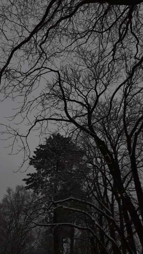 Dark Trees, Sky Dark, Gray Sky, Ya Allah, Love This, Trees