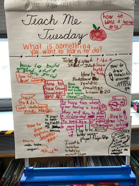 Morning Meeting Activities 3rd Grade, Morning Check In, Morning Questions, Whiteboard Questions, Whiteboard Ideas, Daily Questions, Morning Meeting Activities, Meeting Activities, Morning Board