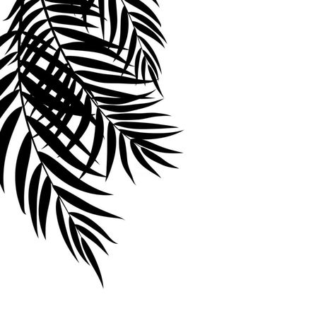 Beautifil Palm Tree Leaf Silhouette Background Vector Illustration Cabinet Restoration, Silhouette Background, Eiffel Tower Wall Art, Palm Tree Leaf, Sun Bear, Palm Tree Vector, Palm Tree Silhouette, Leaf Silhouette, Tiger Pictures