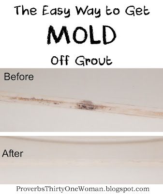 Cleaning Mold, Cleaning Painted Walls, Deep Cleaning Tips, Proverbs 31 Woman, Household Cleaning Tips, Grout Cleaner, Cleaning Recipes, Clean Dishwasher, Toilet Cleaning