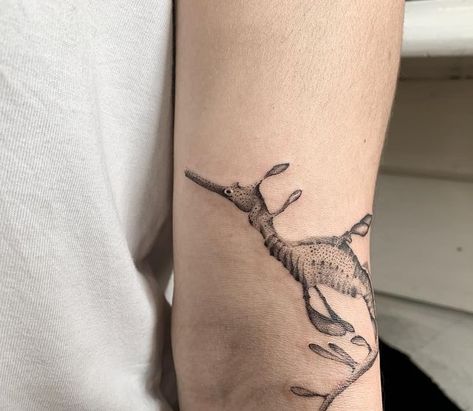 Weedy Sea Dragon Tattoo, Leafy Sea Dragon Tattoo, Sea Dragon Tattoo, Seahorse Sketch, Sea Themed Tattoos, C Tattoos, Sealife Tattoos, Sea Creature Tattoo, Lucy Tattoo