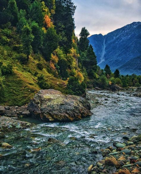 Yusmarg, Kashmir #India Yusmarg Kashmir, Valley Of Flowers, Kashmir India, Mountain Valley, Shimla, Beautiful Places, Paradise, Lake, India