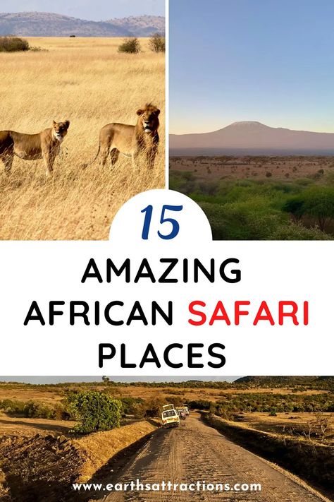 Top 5 Safari Destinations in Africa for Unforgettable Experiences - Earth's Attractions - travel guides by locals, travel itineraries, travel tips, and more Africa Travel Itinerary, African Safari Vacation, Safari In Africa, Safari Vacation, African Travel, Australia Travel Guide, Usa Travel Guide, Africa Safari, Asia Travel Guide