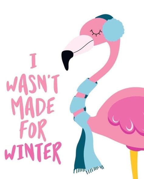 Flamingos Quote, Flamingo Fashion, Flamingo Pictures, Flamingo Craft, Fancy Flamingo, Let's Flamingle, Florida Christmas, Funny Flamingo, Cute Phrases