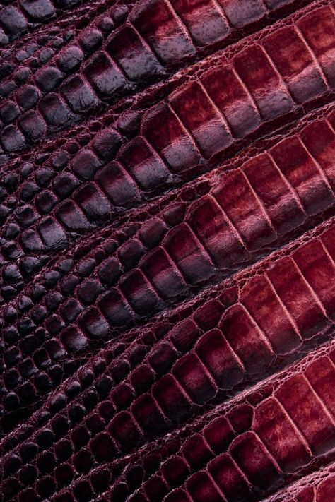 Burgundy Maroon Aesthetic, Burgundy Aesthetic, Pantone 2015, Marsala Color, Momento Mori, Shades Of Burgundy, King Cobra, Purple Tones, Red And Purple