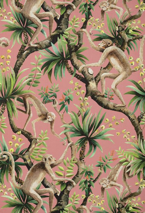 Business Wallpaper, Monkey Statue, Peacock Wallpaper, Monkey Pattern, Jungle Room, Monkey Business, Tropical Foliage, Vinyl Wallpaper, Australian Design