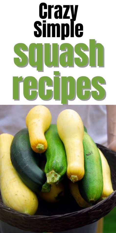 Tatuma Squash Recipes, Gluten Free Summer Squash Recipes, Green Summer Squash Recipes, Grey Squash Recipes, Yellow And Green Squash Recipes, Tatume Squash Recipes, Recipes For Summer Squash, Chinese Squash Recipes, Green Squash Recipes