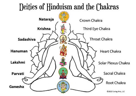 7 Chakras Gods, Chakra For Beginners, Shiva The Destroyer, Human Science, I Am Divine, Chakra Meanings, Art Chakra, Temple Drawing, Chakra Healing Meditation