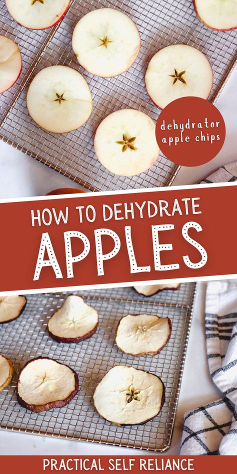 Homemade Dehydrator, Oven Dehydrating, Dehydrated Food Recipes, Apples In The Oven, Dehydrate Apples, Preserve Apples, Dehydrator Recipes Fruit, Dried Apple Chips, Seasonal Recipes Fall