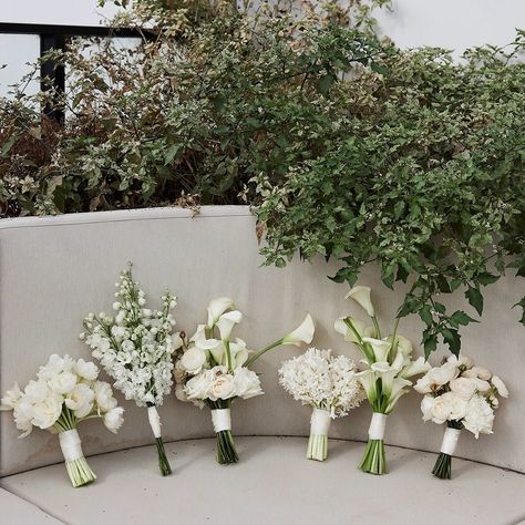 A moment of awe for Mandy & Scott’s incredible floral work by Brother Studio @brotherstudi000 🍃 Each Bridesmaid had a petite floral blocked bouquet with a single type of flower. Mandy’s bouquet was elegant and classic but with a refined twist. European urns and an abundance of premium white flowers were blocked by style and sculpted along the ground in a high-low meadow, completed with customized satin bow. Design & Styling @clothandconfettievents Floral Design @brotherstudi000 Photograp... Elegant Bridesmaids Bouquets, Single Type Of Flower Bouquet, Elegant Whimsical Wedding Decor, Bridesmaids With Bouquets, One Type Of Flower Bouquet, Bridesmaid Flowers Bouquet, Classic White Flowers Wedding, Classic Bridesmaid Bouquet, Petite Bridesmaids Bouquets