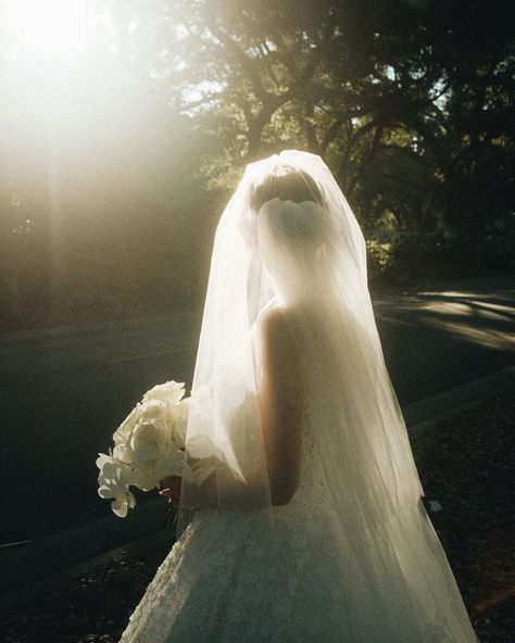 Garden Wedding Pictures Photography, Wedding Vintage Aesthetic, Ethereal Wedding Photography, Dreamy Wedding Photography, Wedding Photography Aesthetic, Wedding Photos Film, Vintage Romantic Wedding, Dreamy Engagement Photos, Artsy Wedding