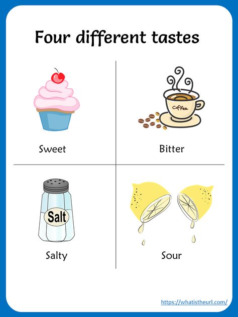 Taste Worksheets Preschool, Sense Of Taste Craft, Sweet Sour Salty Bitter Worksheets, Taste Sense Activities For Preschool, Sense Of Taste Activities Preschool, Sense Of Taste Worksheet, Sense Of Taste Activities, Preschool Five Senses, Kindergarten Free Printables