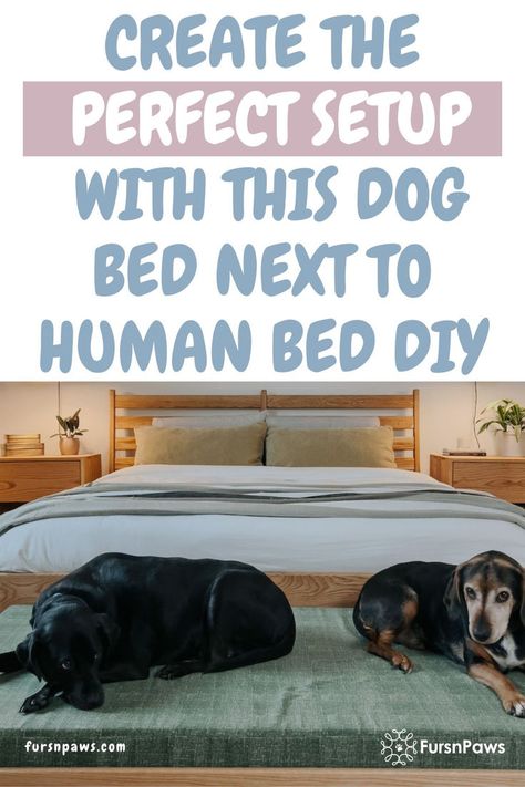 Dog Bed Next to Human Bed DIY Dog Bed Extension Of Human Bed Diy, Dog Bed Next To Human Bed, Bed With Dog Bed Underneath, Dog Bed Ideas Diy, Homemade Dog Beds For Large Dogs, Bed With Pallets, Dog Beds Made From Furniture, Diy Raised Dog Bed, Diy Elevated Dog Bed