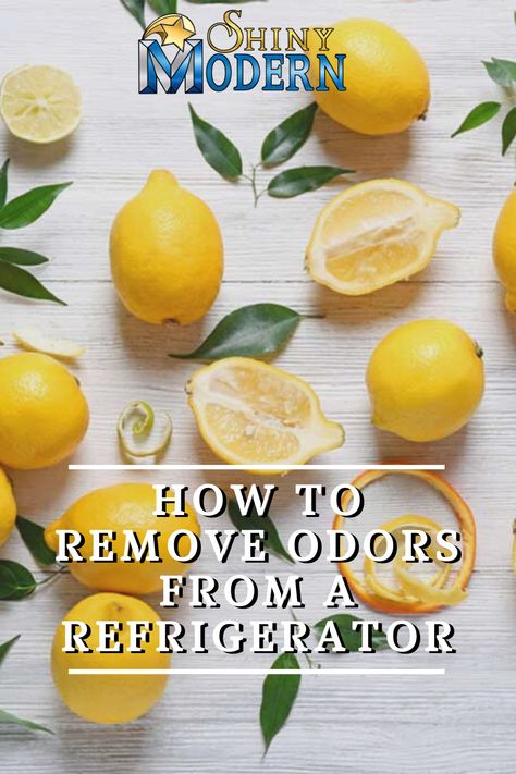 Refrigerator odors can be nasty and embarrassing. Here are some ways you can remove the odors from your refrigerator. Cleaning Refrigerator Hacks, Fridge Smell Tips, Clean Refrigerator Hacks, Refrigerator Cleaning Hacks, Smelly Refrigerator, Fridge Odor Eliminator, Cleaning Refrigerator, Smelly Fridge, Natural Odor Absorber