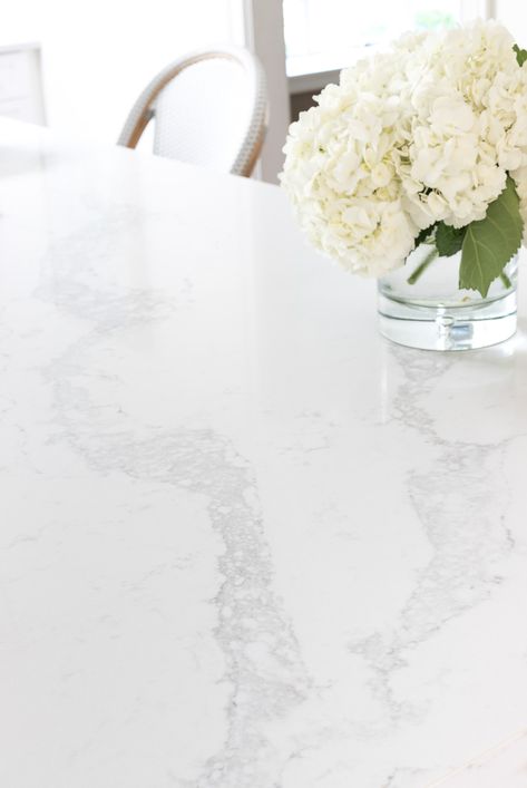 Quartz Marble Look Alike, Farm Kitchen Ideas, Antipasto Appetizer, Corner Shelving, Vancouver House, Replacing Kitchen Countertops, Lower Cabinets, Kitchen Remodel Countertops, Countertop Backsplash