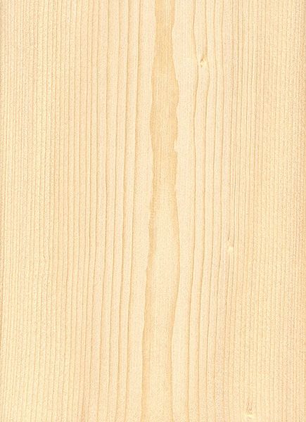 Black Spruce | The Wood Database (Softwood) Curtains 2023, Pine Wood Texture, Black Spruce, White Spruce, The Spruce, Tree Textures, Spruce Tree, Wood Images, Sitka Spruce