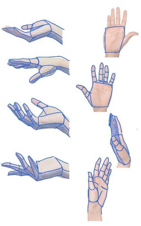 How To Drawing Hands, Two Hands Drawing Reference, Hands Study Drawing, How To Draw Palms Hands, Hand Study Sketch, Hand Tourtial, How To Make Hands Drawing, How To Study Drawing, Hand Different Angles