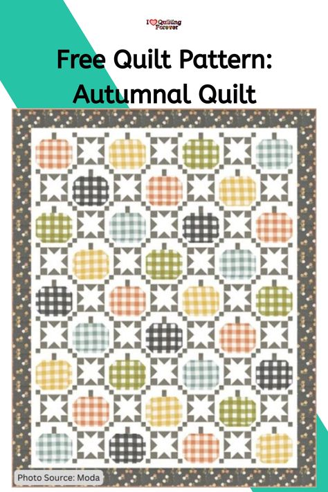 Free Quilt Pattern: Autumnal Quilt Autumn Quilt Patterns Free, Autumnal Quilt, Fall Quilts, Star Blocks, Fall Days, Festive Decor, Quilt Patterns Free, Autumn Day, Quilt Pattern