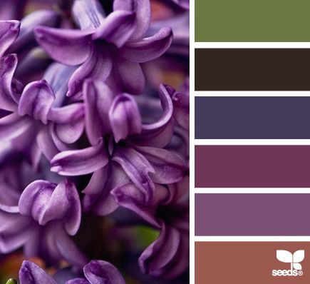 Флора тонах Look Wallpaper, Wedding Colors Purple, Colour Wheel, Colour Combos, Design Seeds, Color Textures, Colour Schemes, Color Pallets, Color Swatches