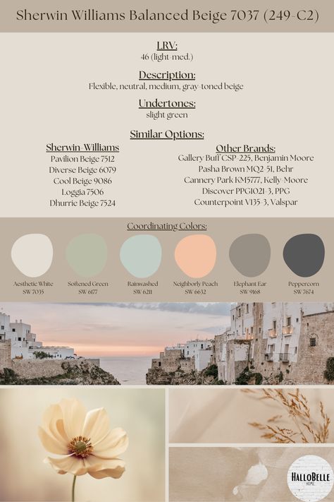 Beige Paint Colors Sherwin Williams, Softened Green, Rainwashed Sherwin Williams, Sherman Williams, Beige Paint Colors, Balanced Beige, Green Laundry, Colors Aesthetic, Kelly Moore