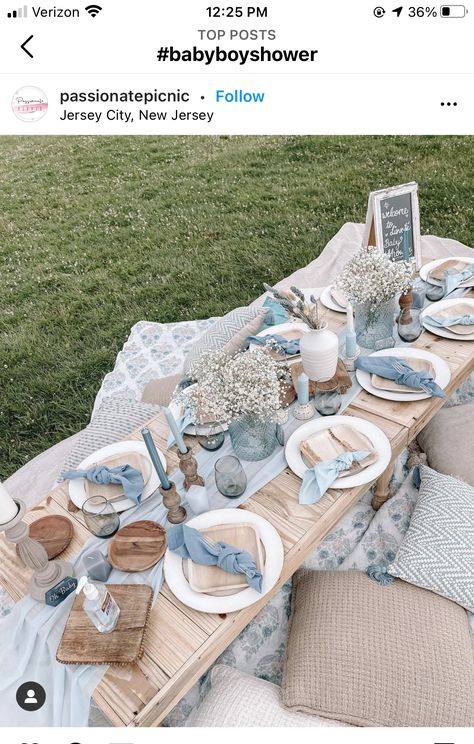 Modern Thanksgiving Table Settings, Chic Dinner Party, Picnic Table Decor, Modern Thanksgiving Table, Thanksgiving Table Decor Ideas, Picnic Baby Showers, Backyard Dinner Party, Blue Picnic, Thanksgiving Table Setting