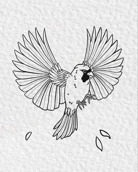 Tattoo lineart of a cardinal bird Cardinal Tattoo Stencil, Cardinal Drawings, Cardinal Sketch, Cardinal Tattoo Design, Cardinal Outline, Cardinal Bird Tattoos, Practice Tattoos, Bird Line Art, Cardinal Drawing