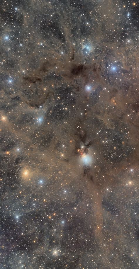 NGC 1333, part of Perseus molecular cloud | The Perseus mole… | Flickr Space Pics, Guitar Theory, Astronomy Facts, Healthy Life Hacks, Space Stuff, Aerospace Engineering, Look At The Moon, Magic Aesthetic, Space Pictures