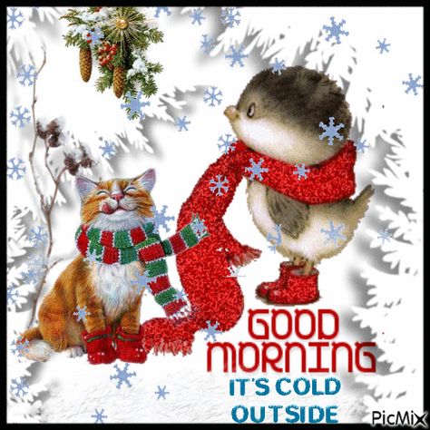 Good Morning. Its cold outside Good Morning Its Cold Outside Quotes, Good Morning It’s Cold Outside, Cold Good Morning Images, Good Cold Morning, Cold Outside Quotes, Good Morning Cold Day Winter, Cold Good Morning, Good Morning Cold, Winter Good Morning