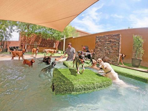 Dog Resort Pet Boarding, Dog Daycare Prices, Doggie Day Care, Cage Free Dog Boarding, Pet Resort Design, Dog Daycare Design Pet Resort, Dog Resort, Doggie Daycare Ideas Design, Doggy Day Care