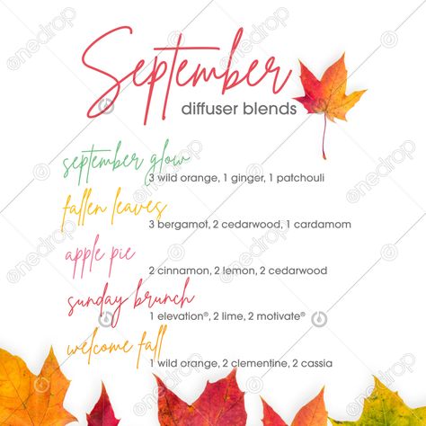 September Diffuser Blends Doterra, September Oil Diffuser Blends, September Diffuser Blends Young Living, September Essential Oil Blends, Ginger Essential Oil Blends, September Diffuser Blends, Diffuser Blends Young Living, Fall Essential Oil Blends, Candle Blends