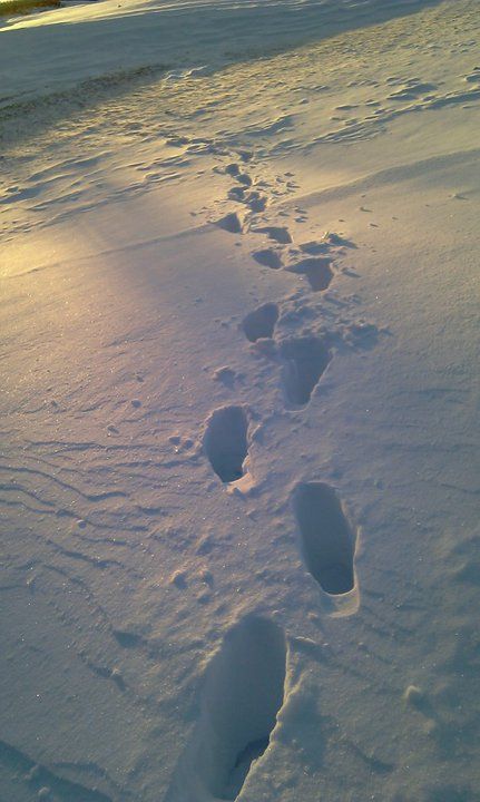 footprints in the snow Footsteps In Snow, Snow Footprints, Ski Painting, Footprints In The Snow, Games Aesthetic, Snow Night, Snow Flower, Singing Monsters, Research Images