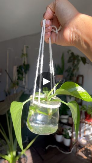 Facebook Oui Jar Plant Hangers, How To Tie Twine Around Mason Jar To Hang, Tiny Crochet Plant Hangers, Macrame Jar Cover Diy Tutorial, Tiny Crochet Hanging Plant Pattern, Hanging Jars, Macrame Thread, Plant Crafts, Beginner Crochet Tutorial