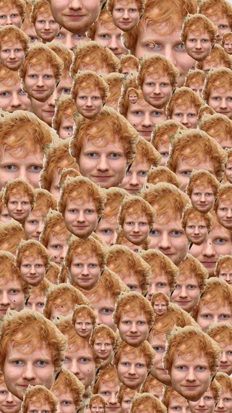 Ed Sheeran Matching Pfp, Ginger Aesthetic Wallpaper, Ed Sheeran Funny, Carrots Funny, Ed Sheeran Aesthetic, Egg Sheeran, Ed Sheeran Wallpaper, Ed Sheeran Eyes, Ed Sheeran Memes