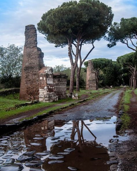 LINDA FRANCO3 on Instagram: “Via Appia Antica, ( Regina Viarum ). ROMA…” Pinus Pinea, Roman Forum Rome, Forum Rome, Pax Romana, Beauty Plan, Via Appia, Roman Roads, Roman City, Roman Forum