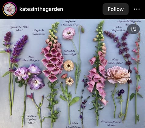 Wild Flower Arrangements Wildflowers, Dreamy Garden, Planting Plan, Flower Guide, Yay Or Nay, Garden Animals, Cut Flower Garden, Fashion Board, Flower Farm