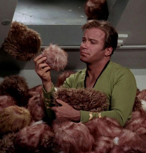 Jim Kirk Tos, Star Trek Profile Picture, Star Trek Tos Aesthetic, Star Trek Tribbles, Star Trek Kirk, Kirk Star Trek, James Kirk, Jim Kirk, Star Trek 1966