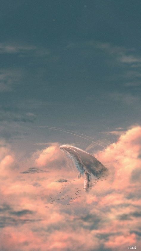 Whale In The Sky Wallpaper, Sky Whale Drawing, Whales In The Sky Art, Sky Whale Wallpaper, Whale In The Sky Art, Sky Whale Art, Whale In Sky, Sky Fantasy Art, Whales In The Sky