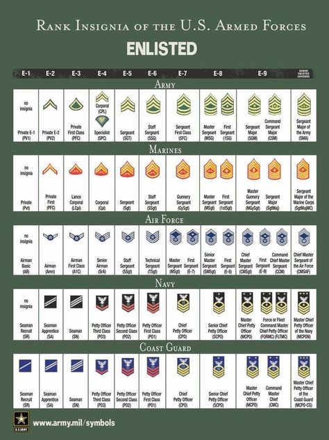 Ranks by branch Navy Ranks, Army Ranks, Military Ranks, Military Records, Chain Of Command, Military Branches, Army National Guard, Military Insignia, Staff Sergeant