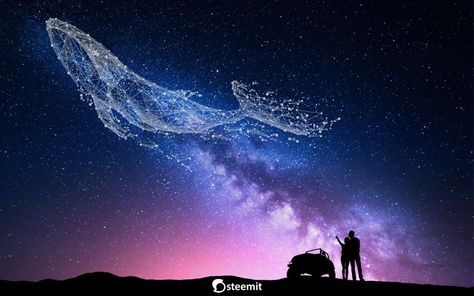 Galaxy Whale Wallpapers - Top Free Galaxy Whale Backgrounds - WallpaperAccess Purple Whale Wallpaper, Whale Wallpaper Desktop, Bts Wallpaper Purple, Whale 52, Whale Wallpapers, Whale Background, Baby Room Wall Design, Galaxy Whale, Purple Whale