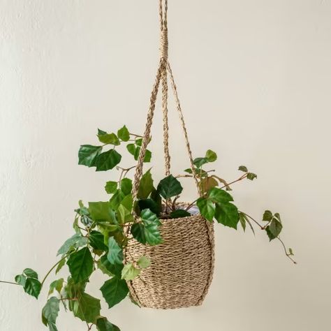 New Arrivals Shop - Magnolia Thrift Decor, Indoor Plant Wall, Hanging Plant Wall, Hanging Plant Holder, Hanging Plants Indoor, Plant Basket, Hanging Plant, Cache Pot, Deck Garden