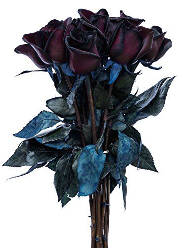 Black Rose Bouquet, Flower Explosion, Dark Wedding Theme, Flowers For Valentines Day, Black Bouquet, Best Roses, Black Rose Flower, Gothic Flowers, Goth Garden